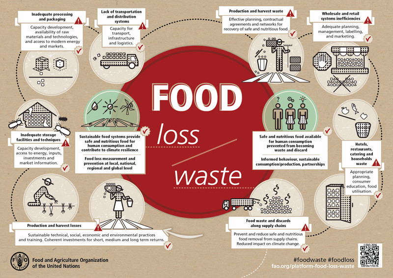 The image is an infographic by the Food and Agriculture Organization of the United Nations, detailing the causes and solutions to food loss and waste across the supply chain, from production to consumption.
